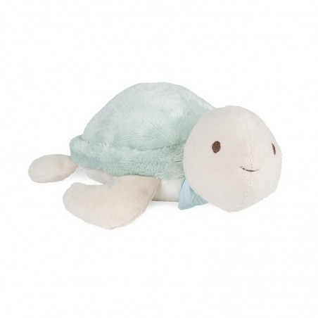 Peluche Pistache la tortue